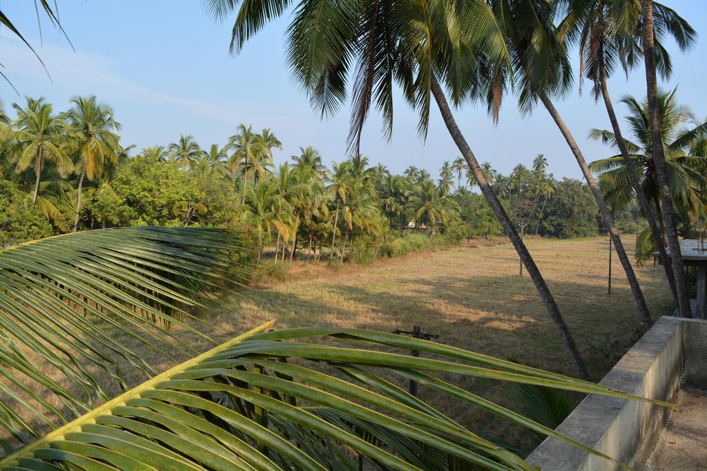 Vailankanni Guesthouse Morjim Exterior photo